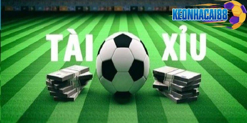 Cách đặt cược tài xỉu đúng chuẩn nhất