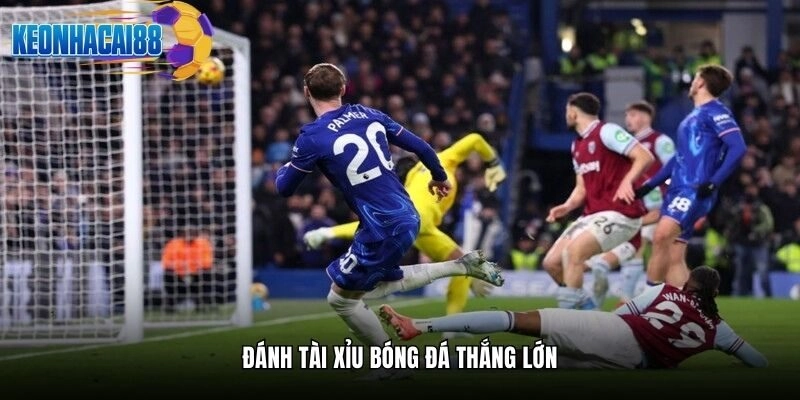 Đánh Tài Xỉu bóng đá thắng lớn