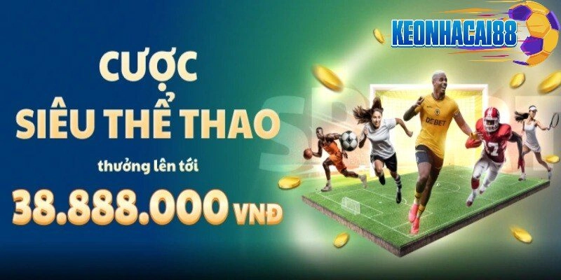 Điểm nổi bật của nhà cái cá cược thể thao