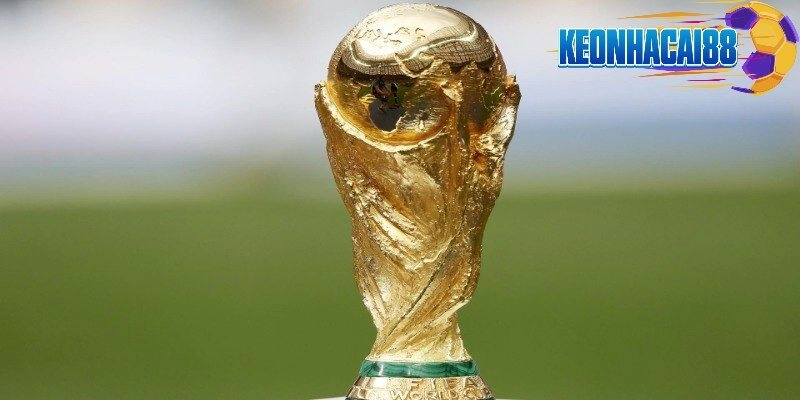 Đôi nét về giải đấu World cup