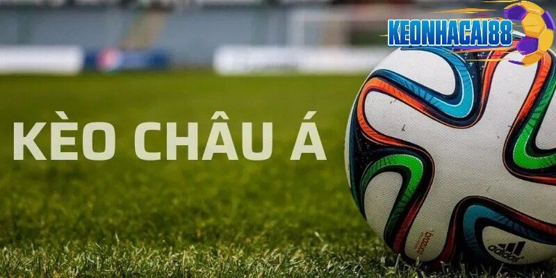 Kèo Châu Á Bí Quyết Chinh Phục Cược Bóng Đá Hiệu Quả