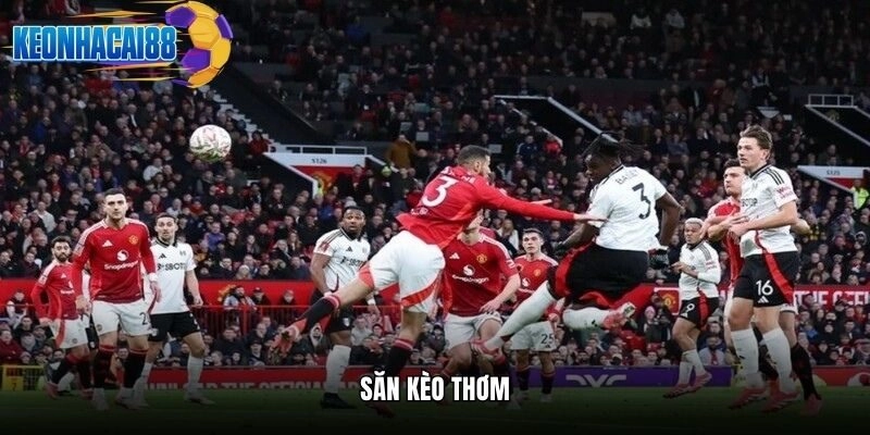 Kèo Thơm Hôm Nay & Mẹo Dự Đoán Chuẩn Xác Từ Chuyên Gia