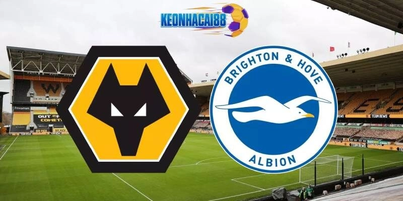 Soi kèo Wolves vs Brighton, 21h00 ngày 10/5