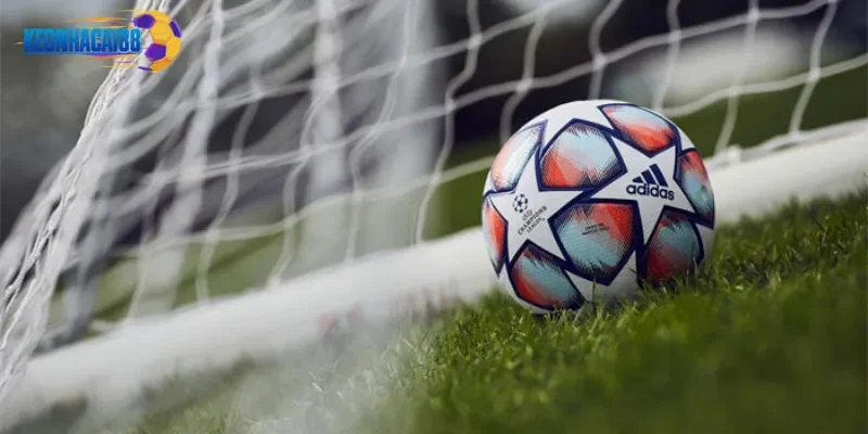 Lịch Thi Đấu Vleague  2025: Cập Nhật Mới Nhất Mọi Trận Cầu