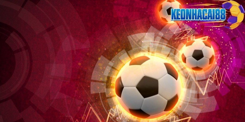 Một số thông tin cơ bản về Xobet