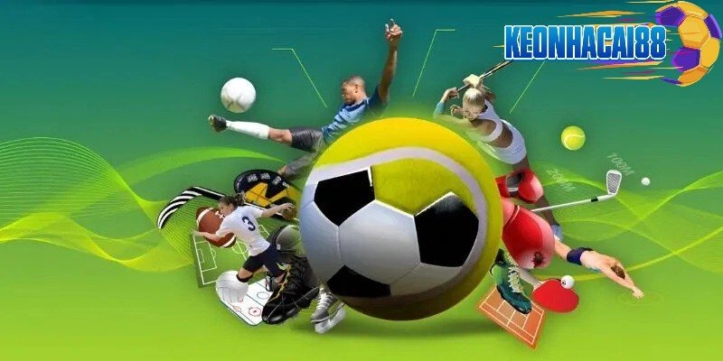Tổng quan Debet – Điểm đến cá cược uy tín