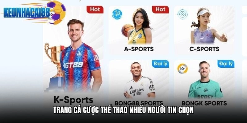 Trang cá cược thể thao nhiều người tin chọn