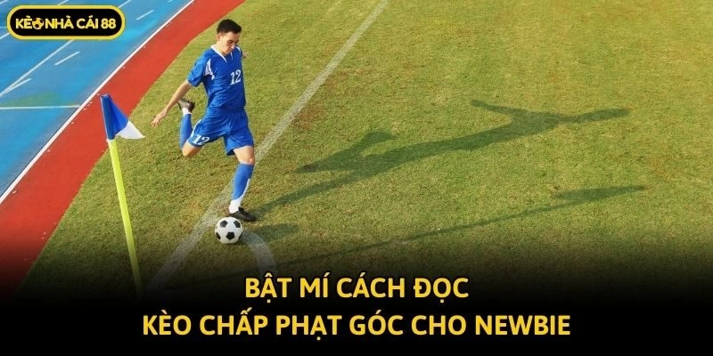Bật mí cách đọc kèo chấp phạt góc cho newbie