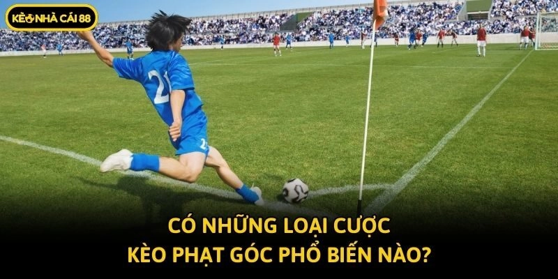 Có những loại cược kèo phạt góc phổ biến nào?