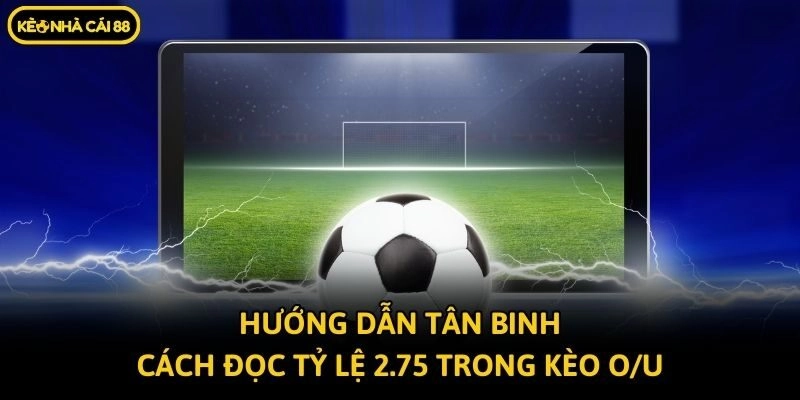 Hướng dẫn tân binh cách đọc tỷ lệ 2.75 trong kèo O/U
