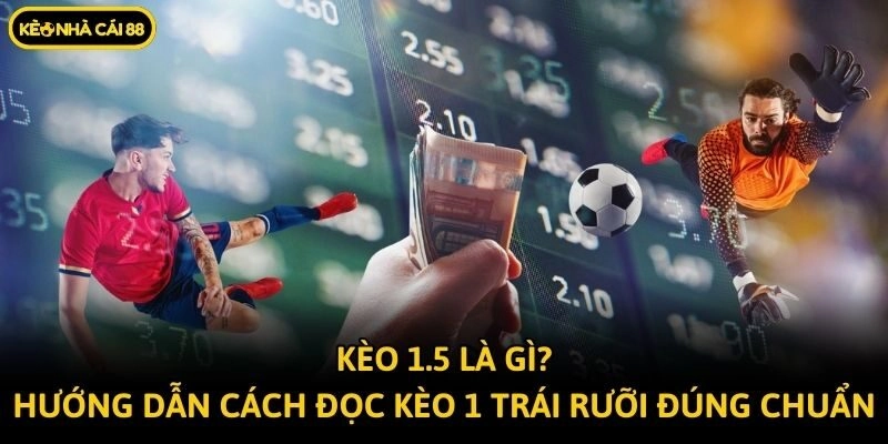 Kèo 1.5 Là Gì? Hướng Dẫn Cách Đọc Kèo 1 Trái Rưỡi Đúng Chuẩn