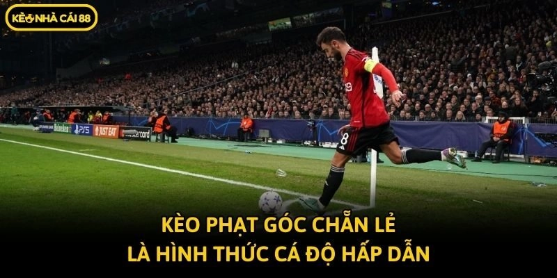 Kèo phạt góc chẵn lẻ là hình thức cá độ hấp dẫn