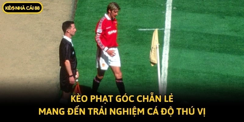 Kèo phạt góc chẵn lẻ mang đến trải nghiệm cá độ thú vị