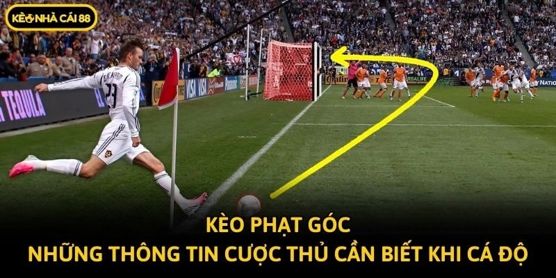 Kèo Phạt Góc - Những Thông Tin Cược Thủ Cần Biết Khi Cá Độ