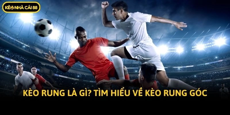 Kèo rung là gì? Tìm hiểu về kèo rung góc