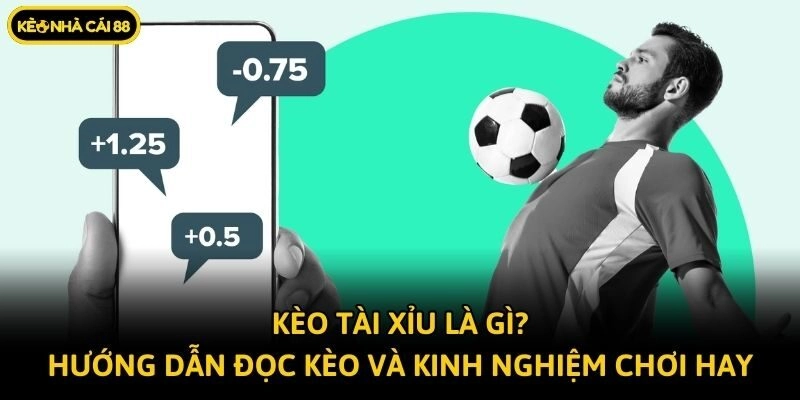 Kèo Tài Xỉu Là Gì? Hướng Dẫn Đọc Kèo Và Kinh Nghiệm Chơi Hay