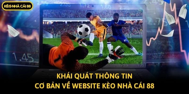 Khái quát thông tin cơ bản về website Kèo nhà cái 88