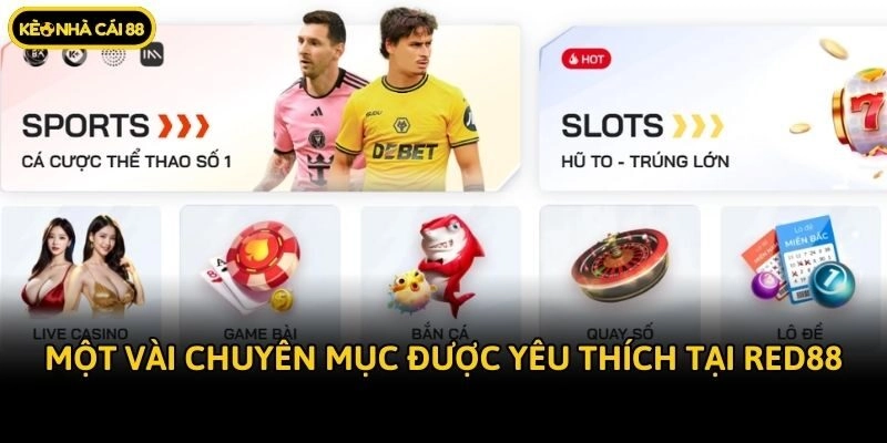 Một vài chuyên mục được yêu thích tại Red88