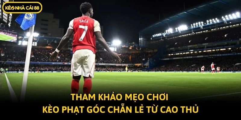Tham khảo mẹo chơi kèo phạt góc chẵn lẻ từ cao thủ