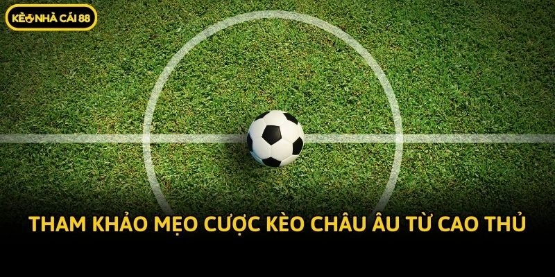 Tham khảo mẹo cược kèo châu Âu từ cao thủ
