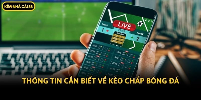 Thông tin cần biết về kèo chấp bóng đá