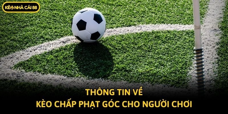 Thông tin về kèo chấp phạt góc cho người chơi