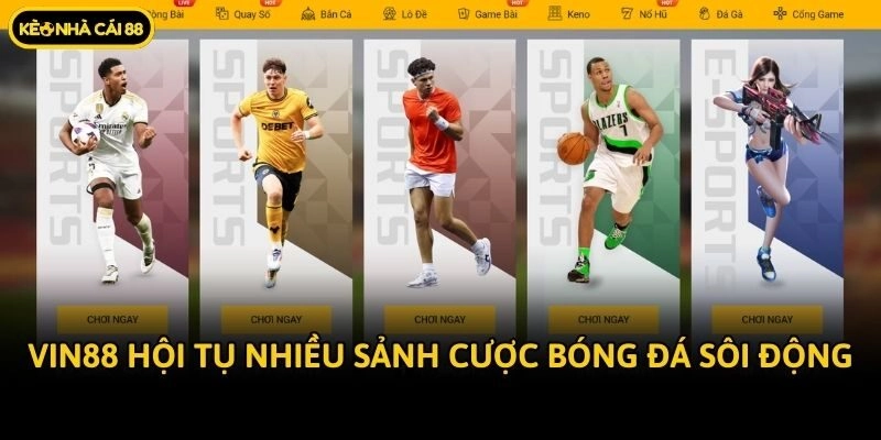 Vin88 hội tụ nhiều sảnh cược bóng đá sôi động
